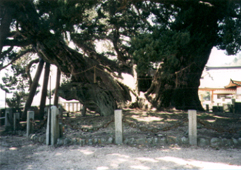 �󐶉@�̋���