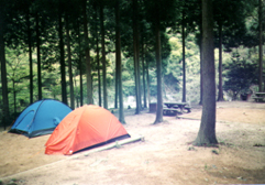 �L�����v��