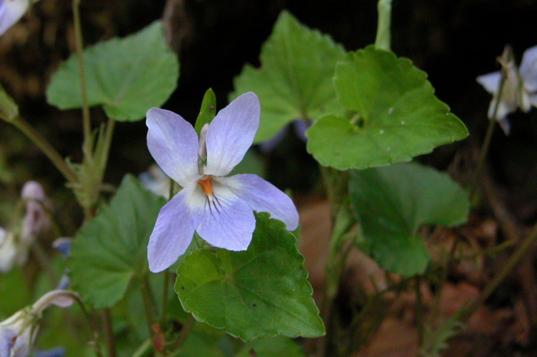 �^�`�c�{�X�~��