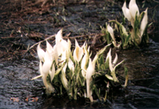 �~�Y�o�V���E