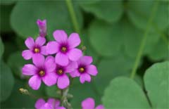 �����T�L�J�^�o�~