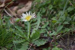 �L�r�V���^���|�|