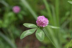 �����T�L�c���N�T